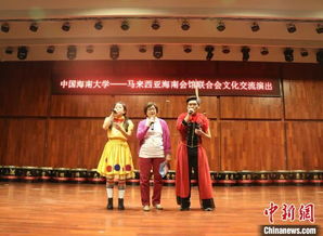 馬來西亞海南會館聯(lián)合會文藝團(tuán)來瓊開展數(shù)字文化創(chuàng)意軟件交流